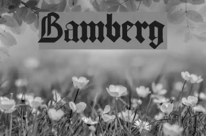 Bamberg Font examples