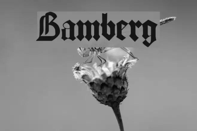 Bamberg Font examples