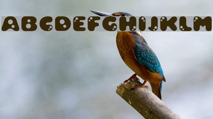 Bambina Font examples