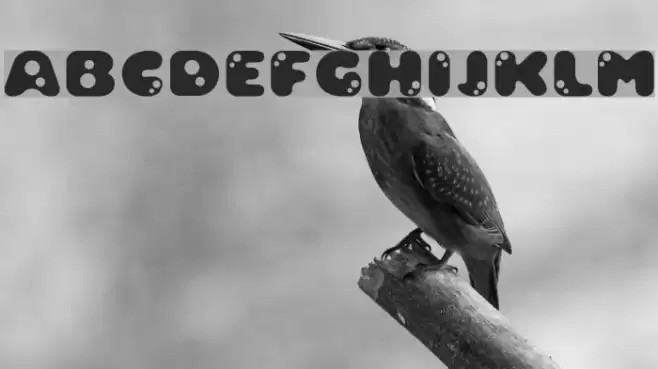 Bambina Polices examples