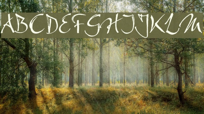 Bambino Font examples