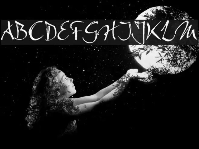 Bambino خط examples