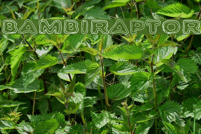 Bambiraptor Font examples