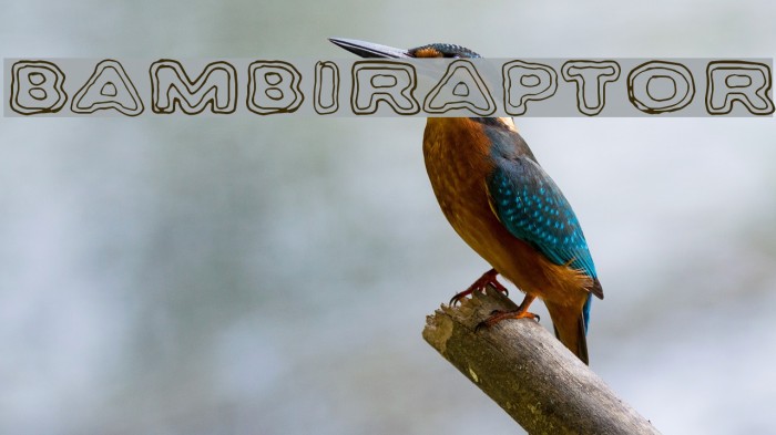 Bambiraptor Font examples