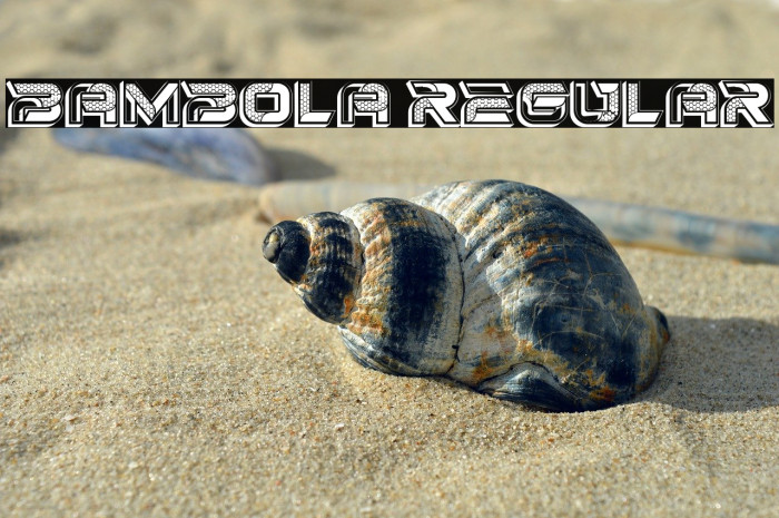 Bambola Regular Example 2