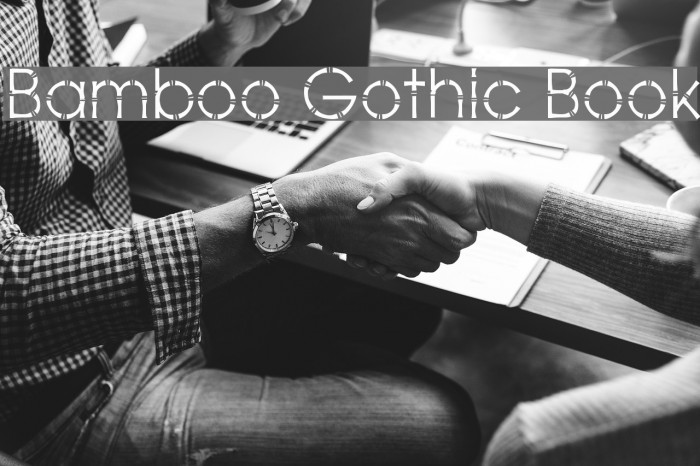 Bamboo Gothic Book Font examples