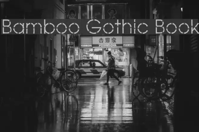 Bamboo Gothic Book Example 2