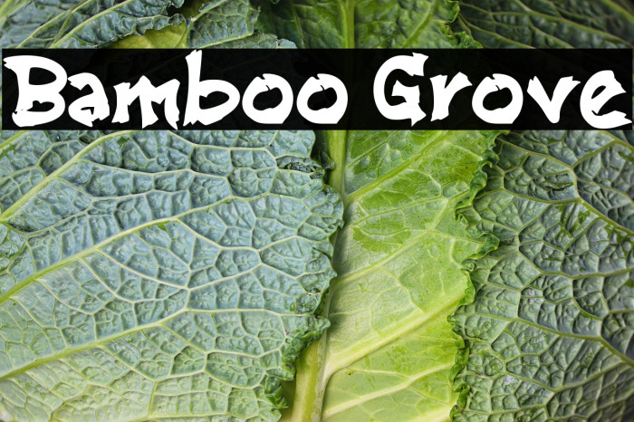 Bamboo Grove Example 1