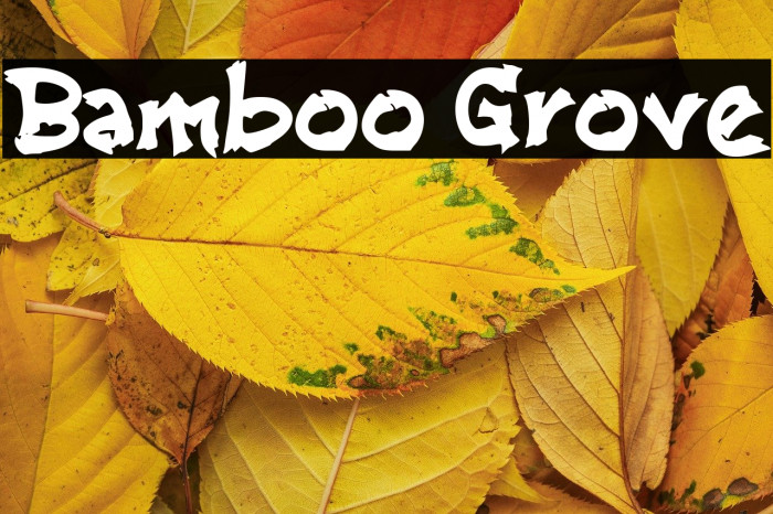 Bamboo Grove Example 2