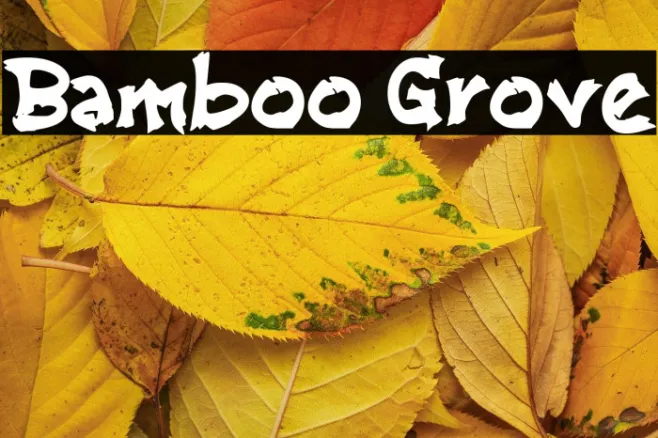 Bamboo Grove Example 2