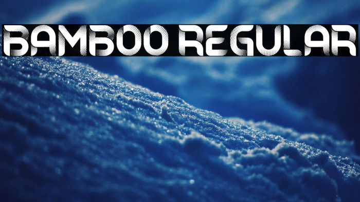 Bamboo Regular Example 3