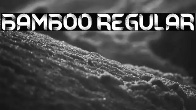 Bamboo Regular Example 3