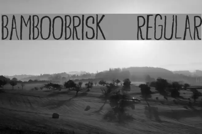 BambooBrisk-Regular Font examples