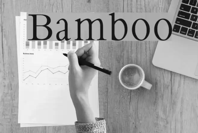 Bamboo Caratteri examples