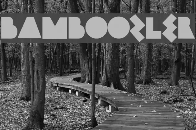 Bamboozler Font examples