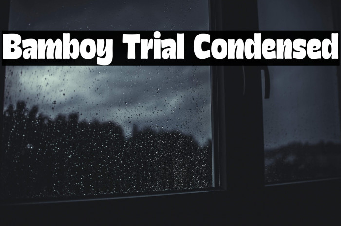 Bamboy Trial Condensed Example 1