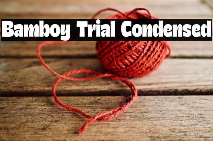 Bamboy Trial Condensed Example 2