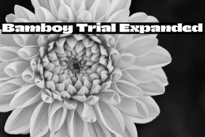 Bamboy Trial Expanded Font examples