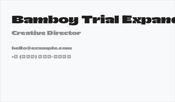 Bamboy Trial Expanded Business Card