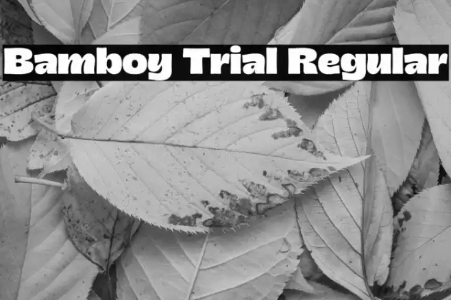 Bamboy Trial Regular Font examples