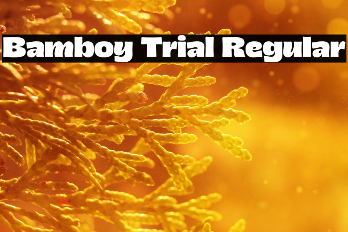 Bamboy Trial Regular Example 2