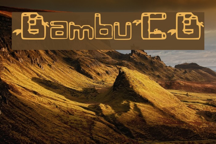 BambuCB Font examples