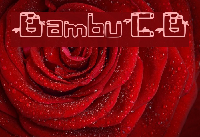 BambuCB Font examples