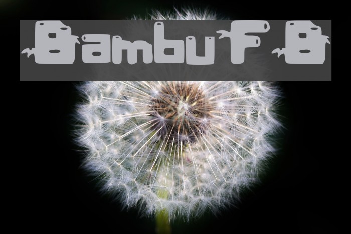 BambuFB Font examples