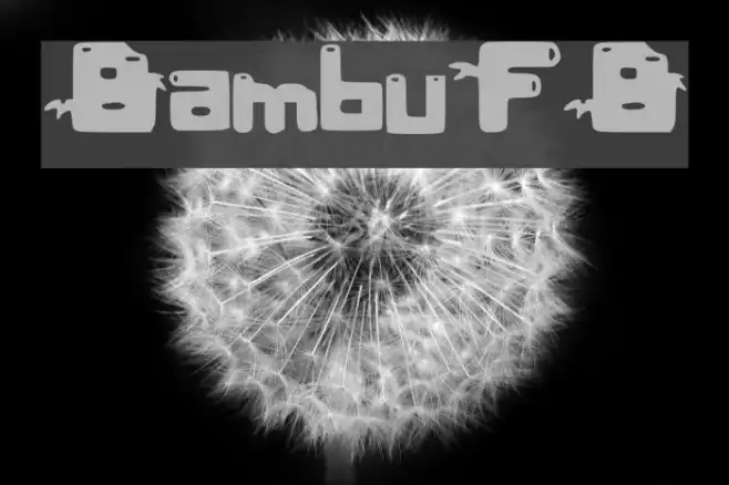 BambuFB Example 2