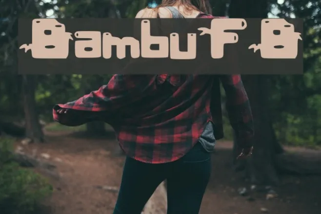 BambuFB Example 3