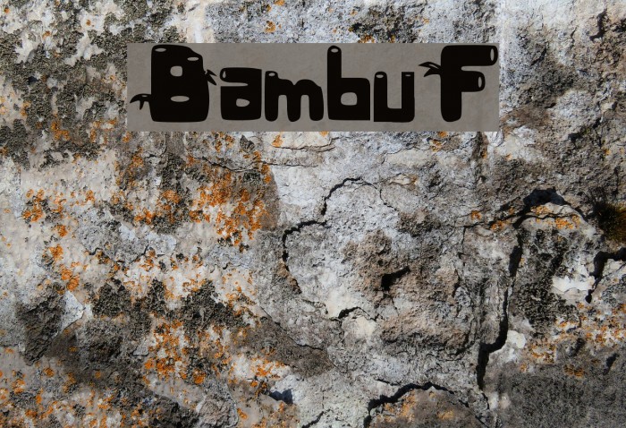 BambuF Example 3