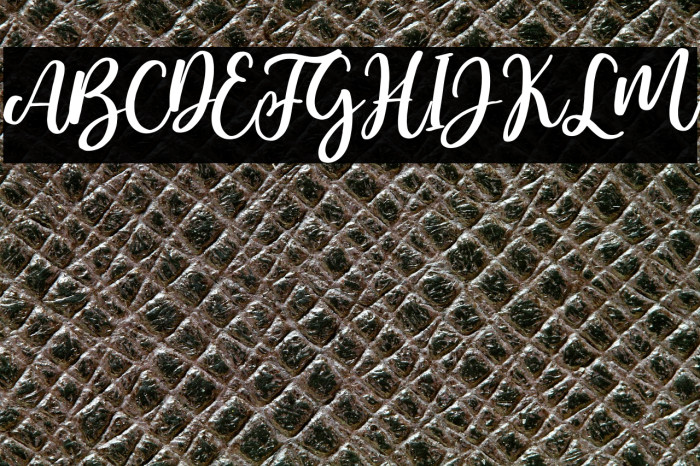 Bamella Italic Example 2