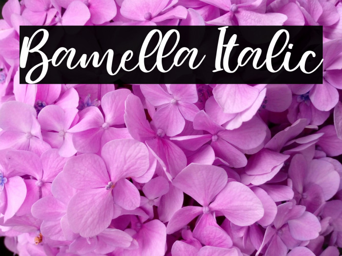 Bamella Italic Example 1