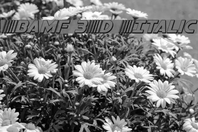 Bamf 3D Italic Font examples