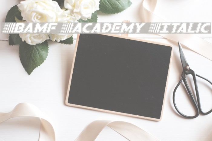Bamf Academy Italic Font examples