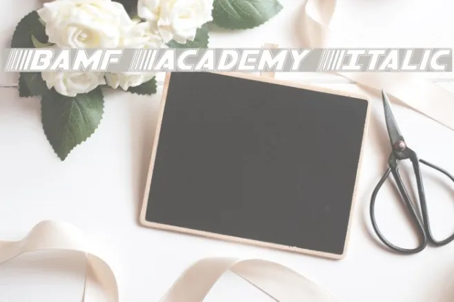 Bamf Academy Italic Example 3
