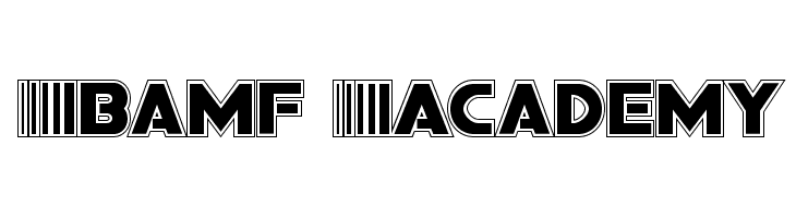 Bamf Academy  baixar fontes gratis