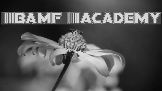 Bamf Academy Example 1