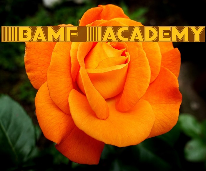 Bamf Academy Font examples