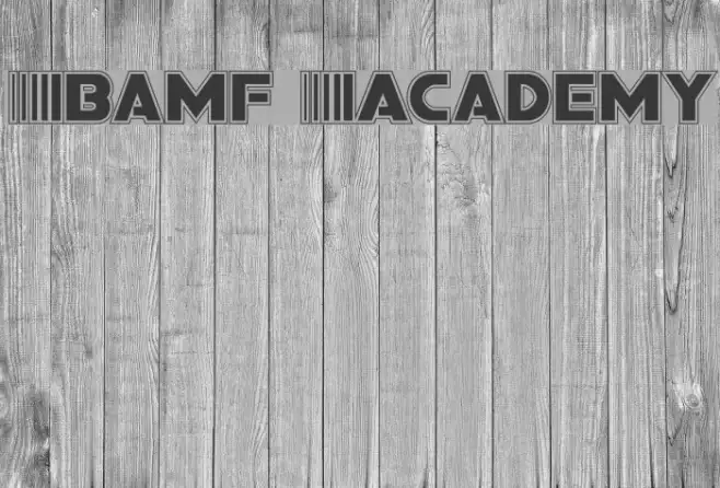 Bamf Academy Example 3