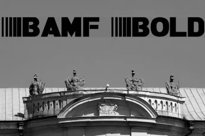 Bamf Bold Font examples