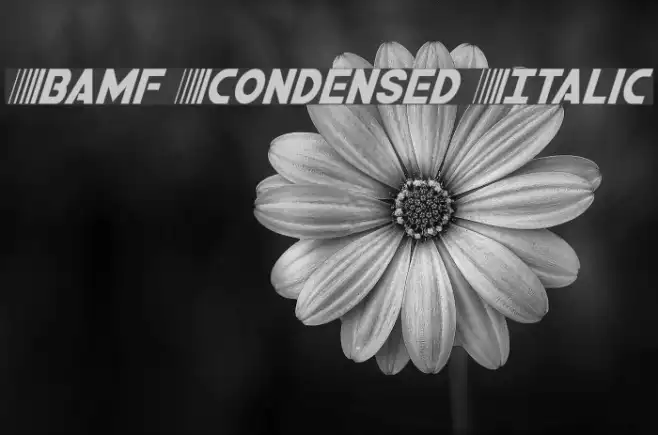Bamf Condensed Italic Example 3
