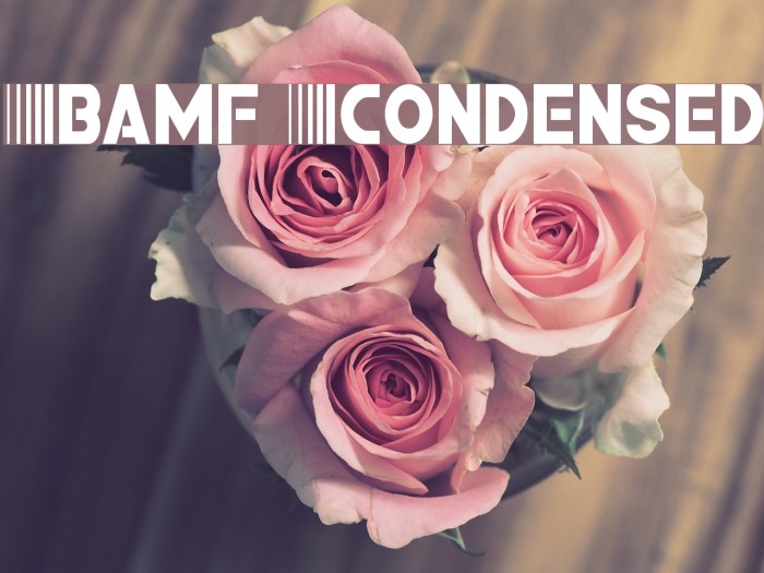 Bamf Condensed Font examples