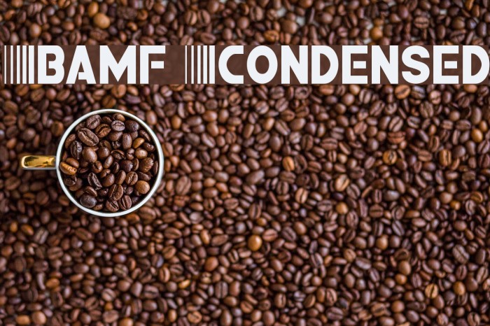 Bamf Condensed Font examples