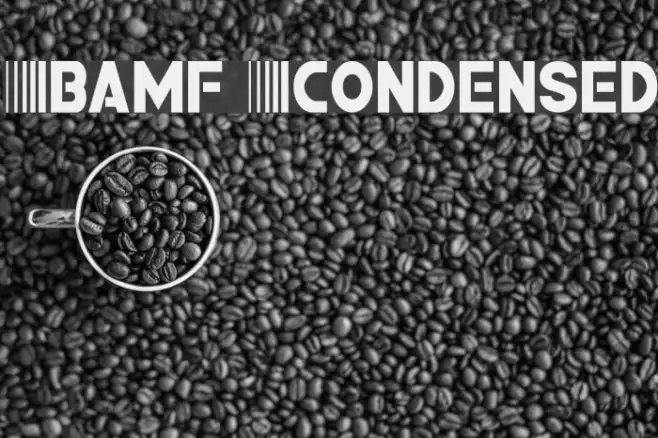 Bamf Condensed Example 3