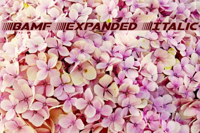 Bamf Expanded Italic Example 1