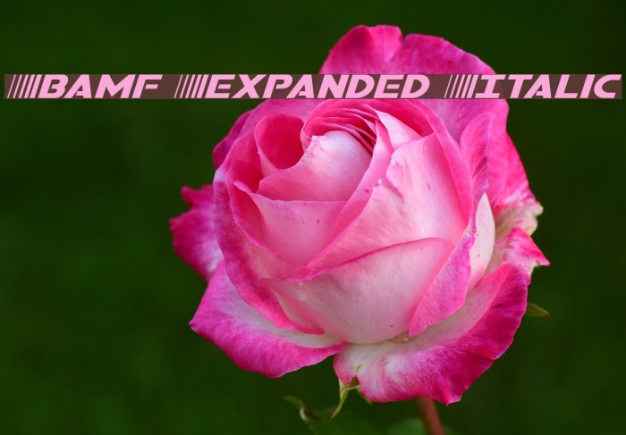 Bamf Expanded Italic Font examples
