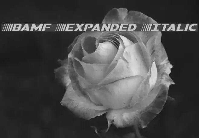 Bamf Expanded Italic Example 2