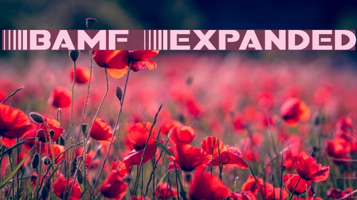 Bamf Expanded Font examples