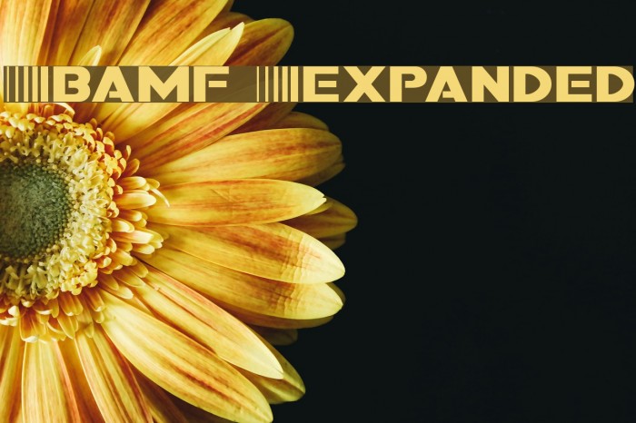 Bamf Expanded Font examples
